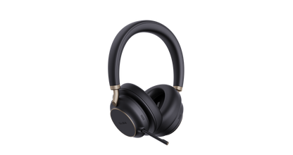 BH76 Plus with Charging Stand UC Black USB-C/A